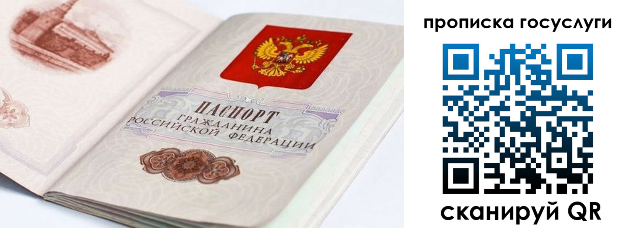 прописка регистрация в Павловске